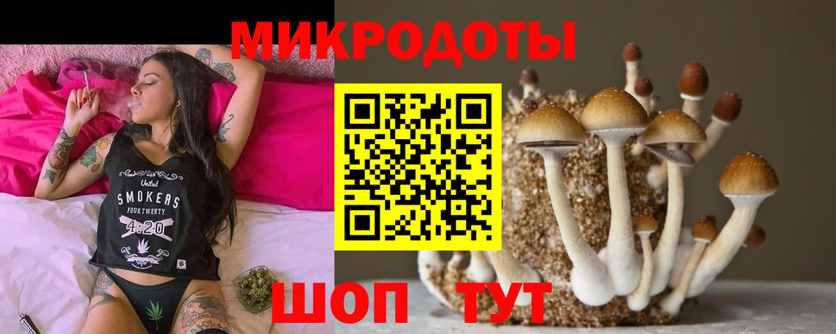 Галлюциногенные грибы Psilocybe  Вход с VPN  Копейск 