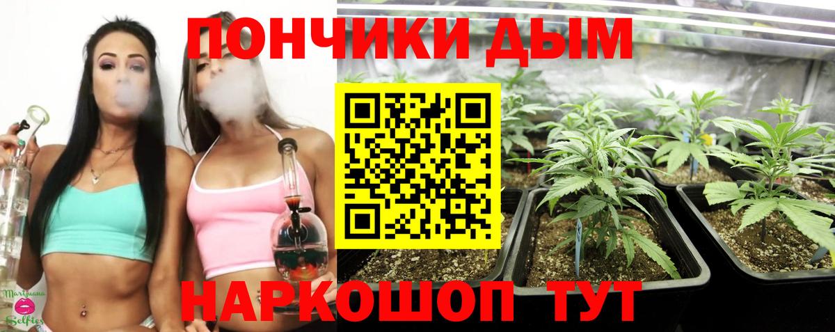 Конопля SATIVA & INDICA Копейск